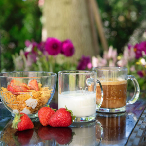 Miska 680ml HOLLI mix Miska 680ml HOLLI mix